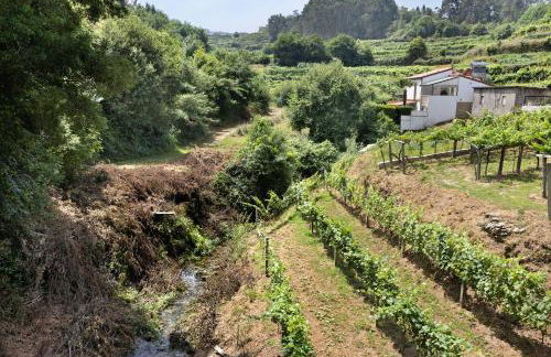 Quinta Da Cevidade - Foto 12