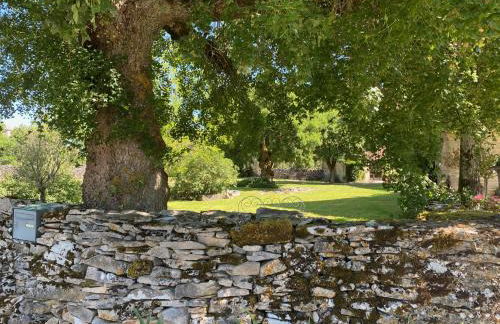 Domaine de Montanty - Foto 18