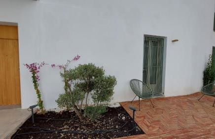 Patio del Lino - Photo 22
