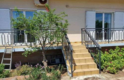 Sofia's Yard House - Foto 50