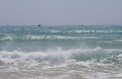 EL Paraiso - Photo 17