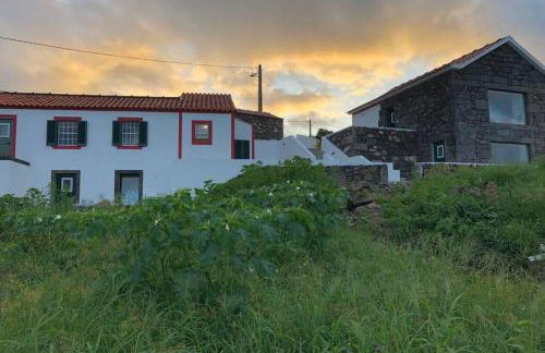 Fish House 3 - Photo 27