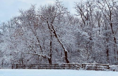 Wandering Whitetail Estate - Indiana Dunes - Valpo U - Pet Friendly - Foto 8