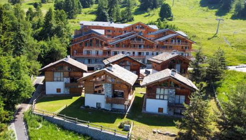 Chalet ALPACA Peisey-Vallandry - Domaine Paradiski - Foto 3