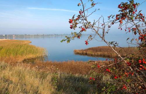 Bungalow auf der Insel Poel for 2 Personen - Foto 19