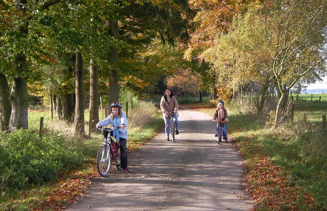 Holiday Home in Burg Reuland - Foto 40