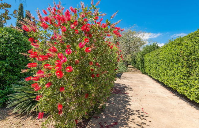 Villa in Campanet With Private Pool & Tennis - Foto 45