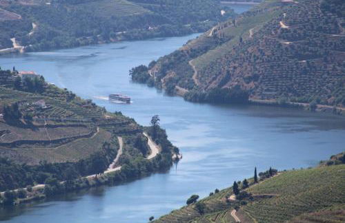 Socalcos do Douro House - Foto 13