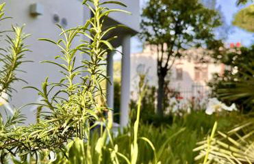 Verdeacqua my villa in the pinewood - Foto 23