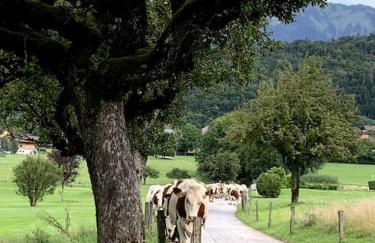 Petit cocon entre lac, golf et montagne, proche d'Annecy - Foto 29