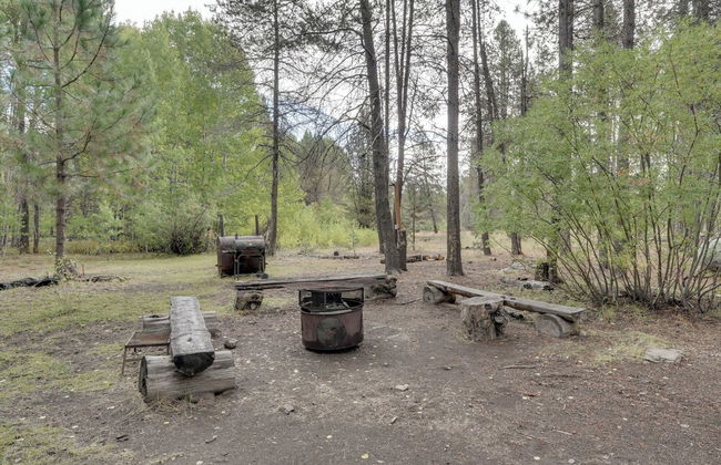 Pet-Friendly House with Deck Near Crater Lake! - Foto 13