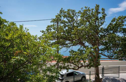 Dobre Vibracije - Foto 2