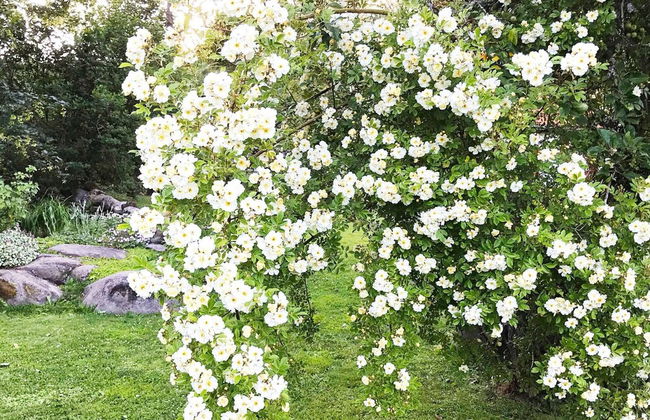 4 Person Holiday Home in Falkoping-by Traum - Foto 17