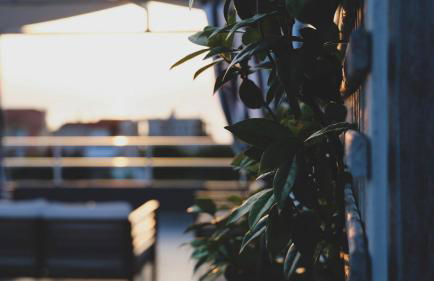 Galinio Boutique Apartments - Photo 6