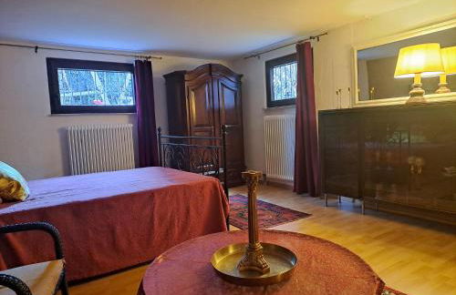 Paradiesgarten am Saaleufer - Foto 20