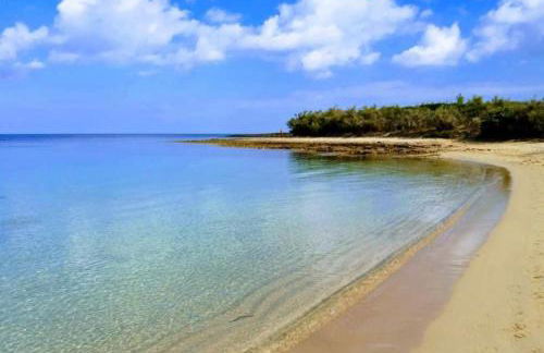 La ramasola & il datterino - Foto 16