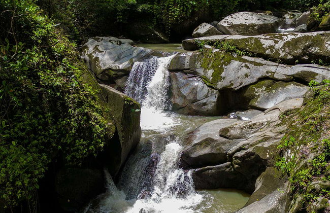 Minca Day Trip - Foto 2