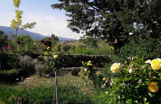 La Maison de Noélie - rez de jardin - Foto 50