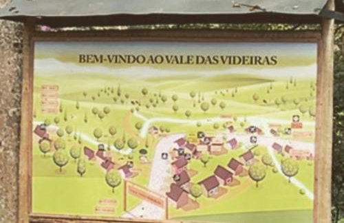 Vale das Estrelas - vale das videiras - araras - Foto 29