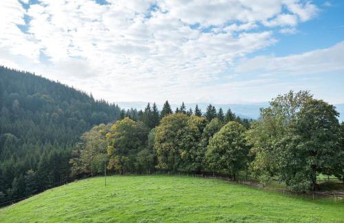 Kapfenmathishof Urlaubsbauernhof - Foto 48