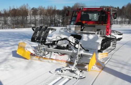 Fahrenbach-Alm - Foto 31