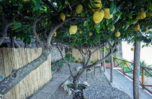 Villa Primavera - Foto 59