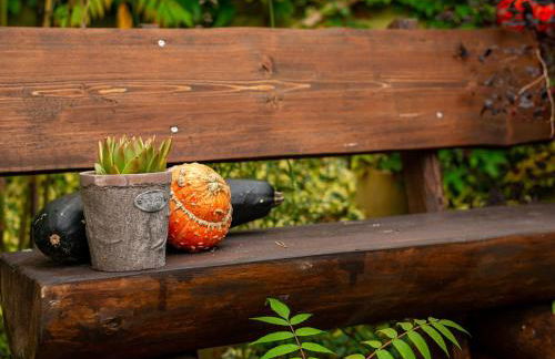 Central Apartment, Bad Doberan - Foto 37