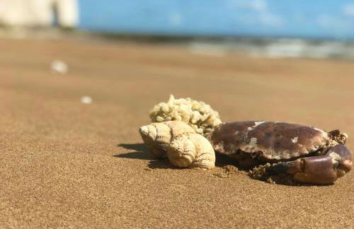 Broadstairs Beach Holiday Apartments, seafront stays opposite Kingsgate Bay with a parking space - Foto 56