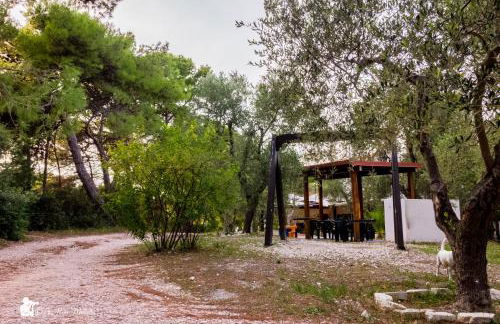 Villa Anna Residence Rodi - Foto 71