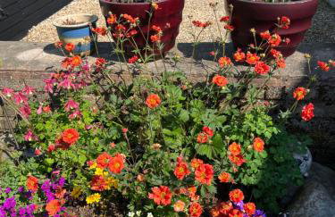 West Cumbria static caravan - Foto 18