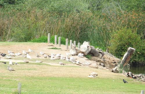 618 Airpark - Foto 27