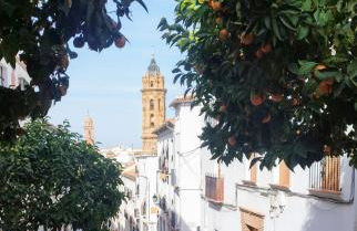 Apto I Santa Clara centro - Photo 12