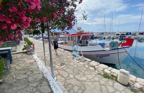 Pantheon Apartments & Studios - Photo 98