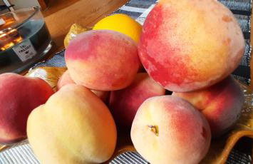 Apartament pod bukowym lasem - Foto 23