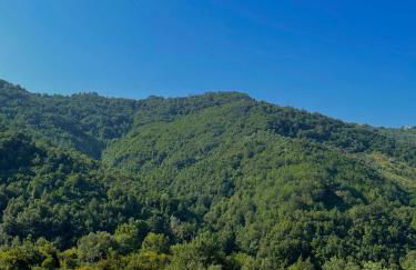 Agriturismo Piano di Andrea - Foto 13