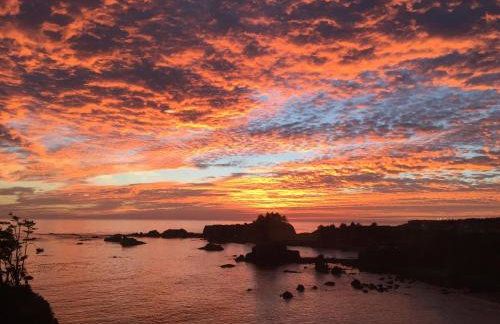 Octopus Suite - Foto 6