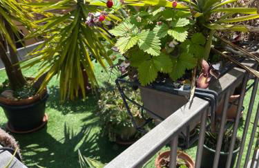 The Jasmine Terrace Retreat - Photo 57