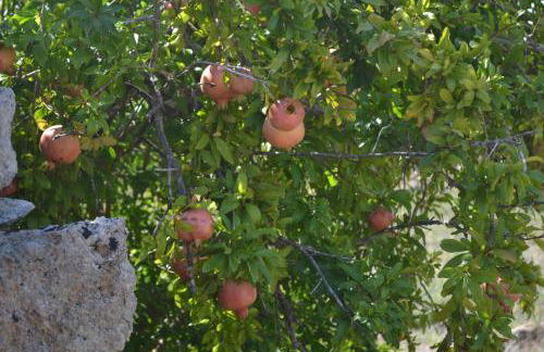 Casa Margherita - typical salento house - Foto 57