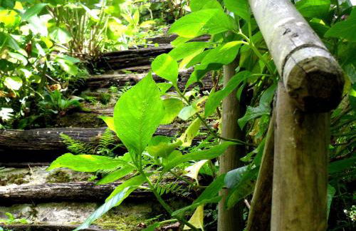 Casa Rural La Posada del Alba - Foto 13