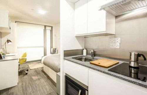 Student Only, Bronze Studio Lower Level Lewisham Residence - Foto 4