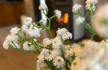 Kuća za odmor LO - Photo 28