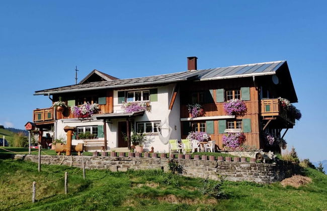 Bi-dr-gondamaika - Foto 42