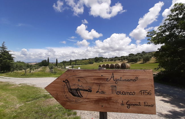 La Moiana 1756 - Foto 37