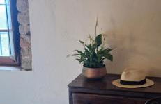 Casa del Contadino Rapale - Foto 45