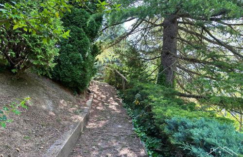 Casa en Planoles - Foto 12