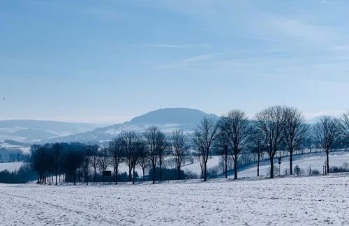 Am Schloss Wolkenstein, 86m2, 3BR, Babybett, Office - Foto 6