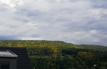 Ferienappartement Obrigheim - Foto 24