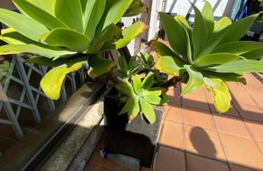 Beach House in prime location! - Foto 28