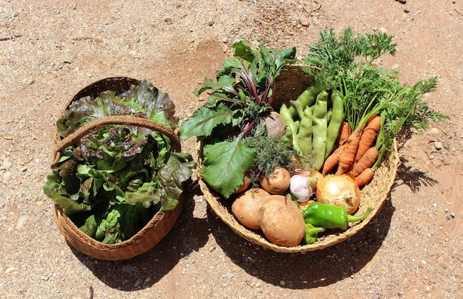 Cortijo la Molina de Cabo de Gata - Foto 51