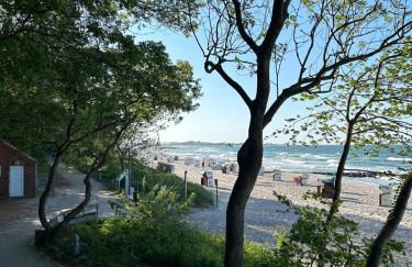 Toplage direkt an der Steilküste - FeWo 1 "Ostseenest" Hohwacht - Foto 23